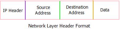 This image describes the header format of the network layer in computer networks.